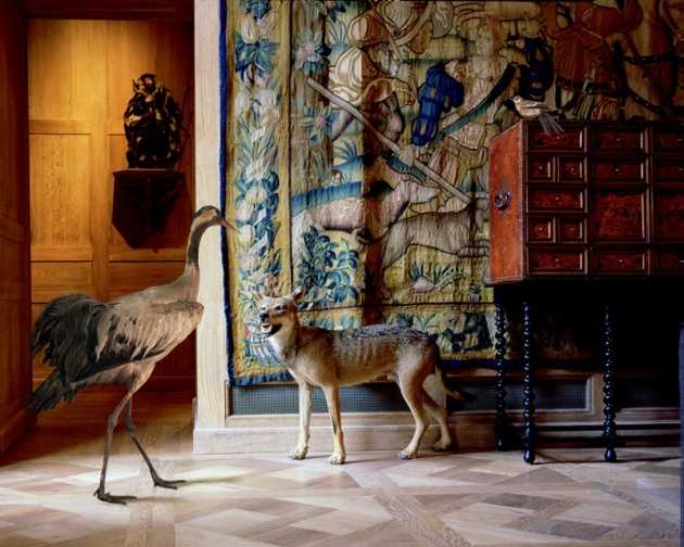 visitare il museo della caccia e della natura a parigi